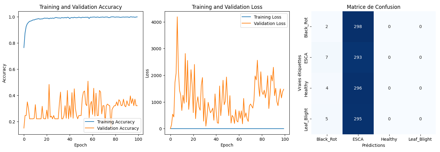 Model Evaluation