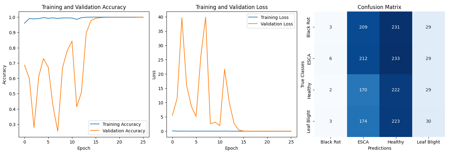 Model Evaluation